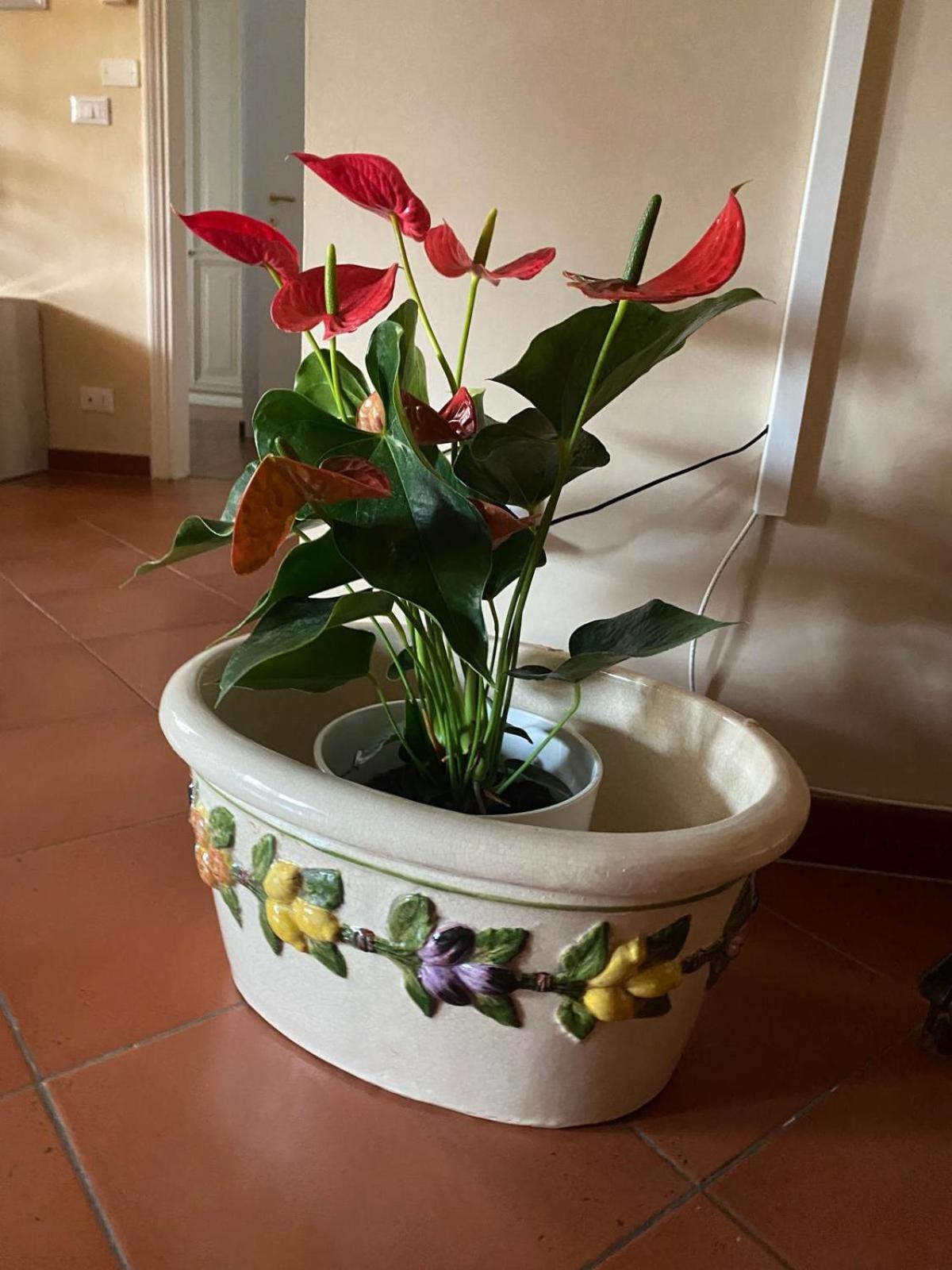 Appartamento Magnolia Mercatale Val Di Pesa Exteriér fotografie